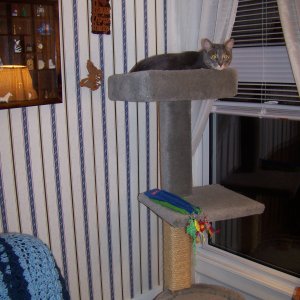 100_1477.JPG