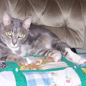 100_1483.JPG