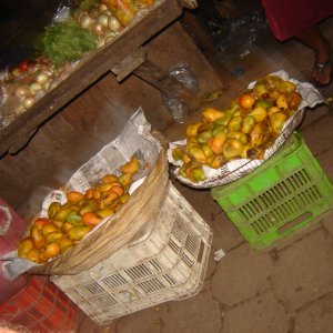DSC01135.JPG