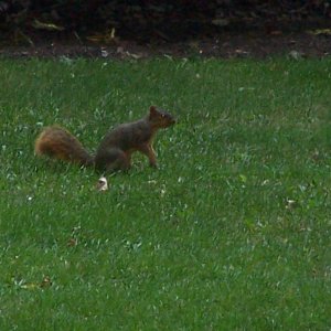 100_0323.JPG