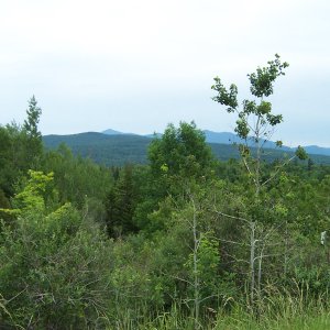 DCP_0279.JPG