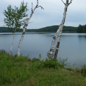 DCP_0282.JPG