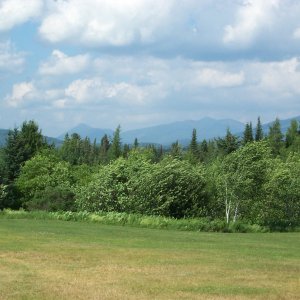 DCP_0302.JPG