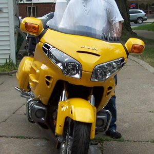 It's yellow.jpg