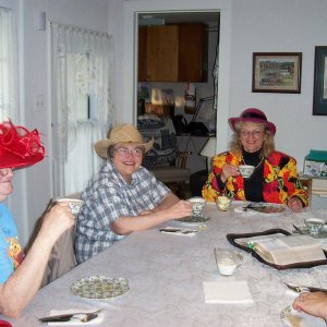 tea party0002.jpg