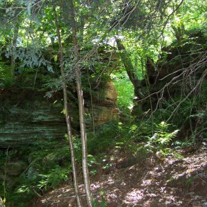 100_0120.JPG