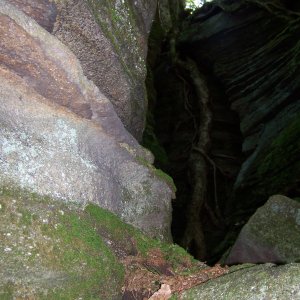 100_0132.JPG
