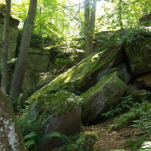 100_0144.JPG