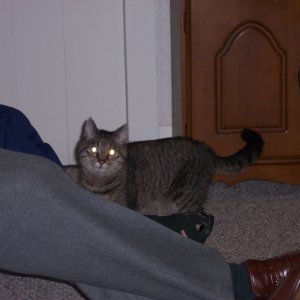 100_2775.jpg