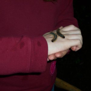 100_2622.jpg