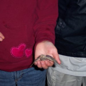 100_2624.jpg