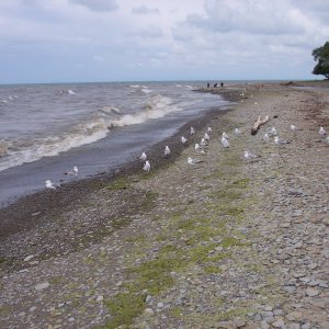 100_2676.jpg