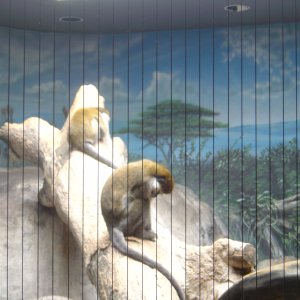 DSC00707.JPG