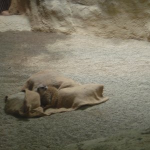 DSC00714.JPG