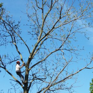 100_1573.JPG