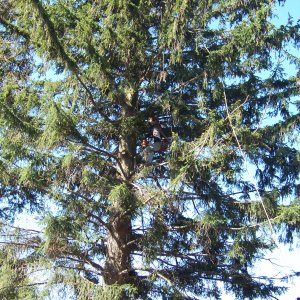 100_1576.JPG