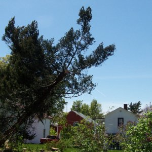 100_1615.JPG
