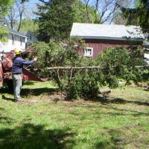 DSCN0348.JPG