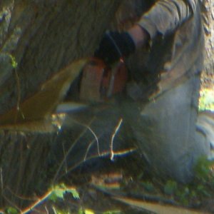 DSCN0349.JPG