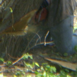 DSCN0350.JPG