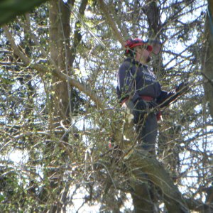 DSCN0357.JPG