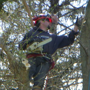 DSCN0358.JPG