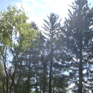 DSCN0361.JPG
