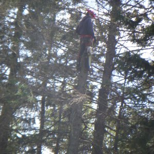 DSCN0363.JPG