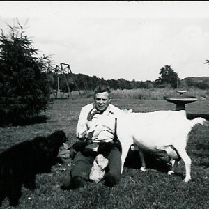 pic12.jpg