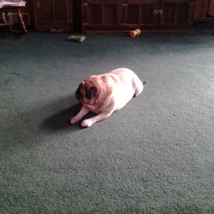 20140112_163506.jpg