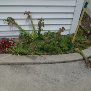 20140717_125748.jpg