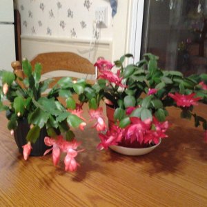 20141122_184822.jpg