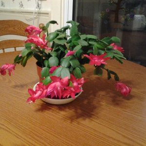20141122_184838.jpg