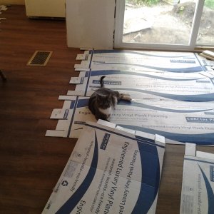 20150806_190235.jpg