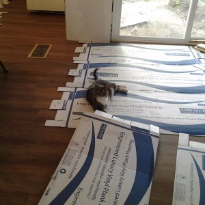 20150806_190236.jpg