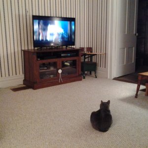 20160111_230051.jpg