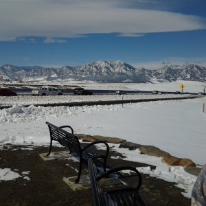 20160324_131217.jpg