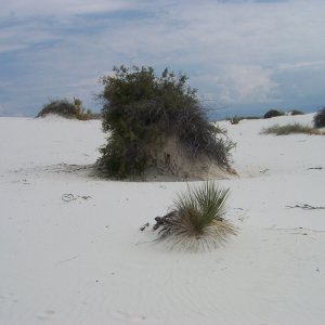 DCP_0126.JPG