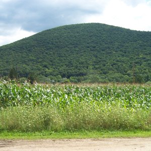 DCP_0364.JPG