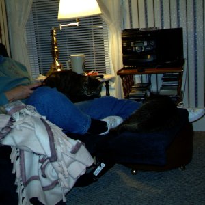 IMAG0002.JPG