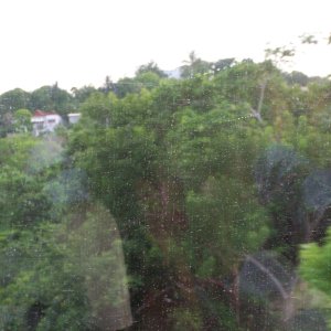 100_0155.JPG