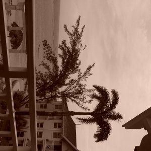 100_0174.JPG