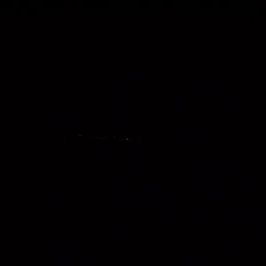 100_0184.JPG