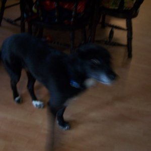 100_0314.JPG