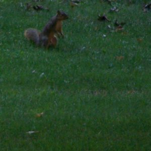 100_0321.JPG
