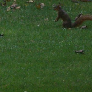 100_0322.JPG