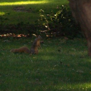 100_0324.JPG