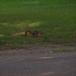 100_0325.JPG