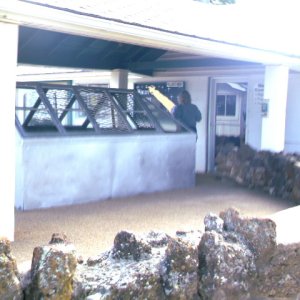IMAG0002.JPG