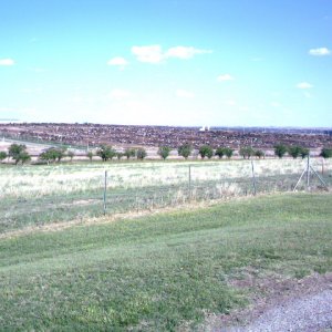 IMAG0004.JPG